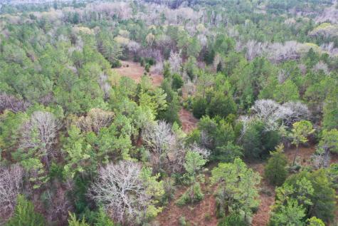 Tbd Dejardo Lane Coldspring TX 77331