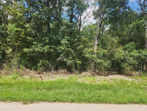 00 Idlewood Rdwy New Caney TX 77357