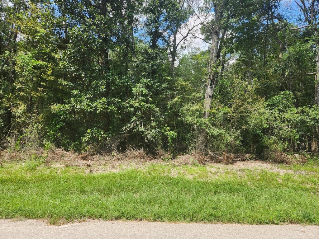 00 Idlewood Rdwy New Caney TX 77357