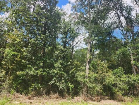 00 Idlewood Rdwy New Caney TX 77357
