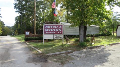 Lot 1 Elk Street Onalaska TX 77360