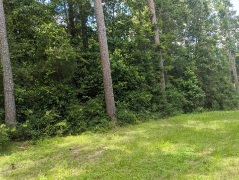 Lot 1 Elk Street Onalaska TX 77360