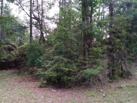 Lot 1 Elk Street Onalaska TX 77360
