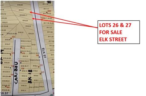 Lot 1 Elk Street Onalaska TX 77360