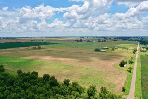 2523 S Cr 267 Elm Grove TX 77434