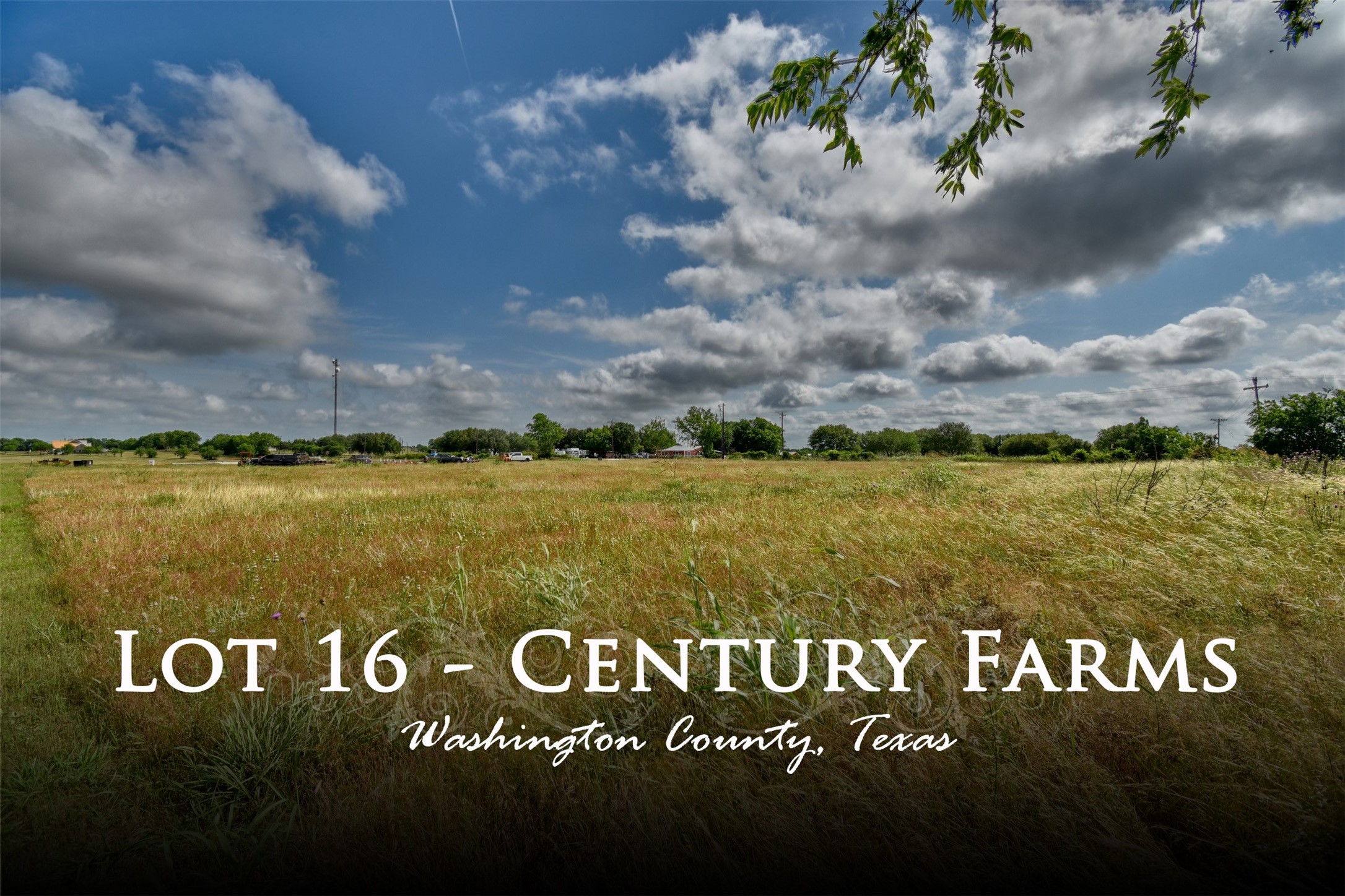 3944 Wonder Hill Road Chappell Hill TX 77426