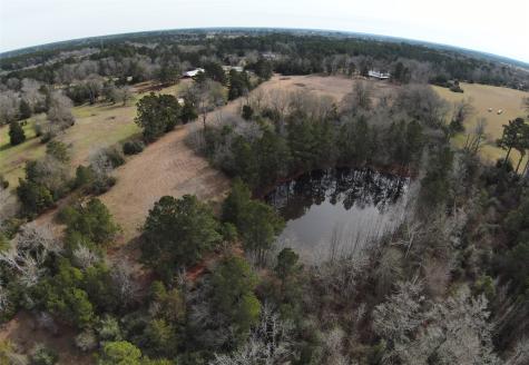 7365 Fm 2022 N Grapeland TX 75844
