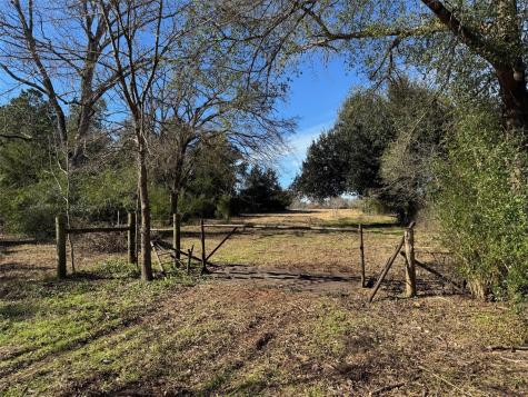 7365 Fm 2022 N Grapeland TX 75844