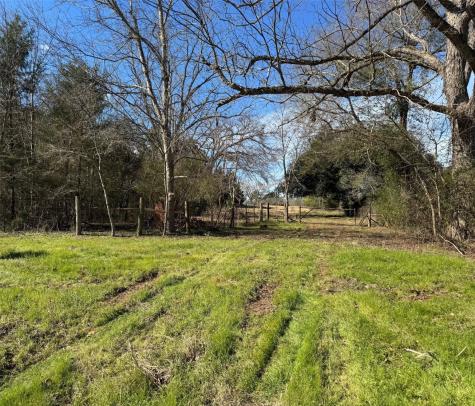 7365 Fm 2022 N Grapeland TX 75844