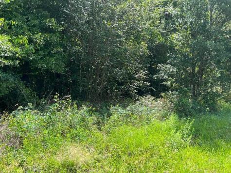31603 Walnut Creek Road Magnolia TX 77355