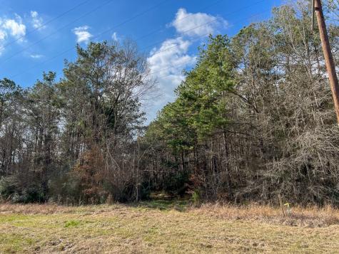 1 Fm 770 Saratoga TX 77585