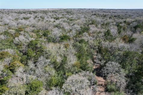 2551 Jurecka Road Fayetteville TX 78940