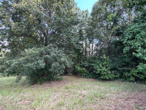 95 Red Wolf Lane Brookeland TX 75931