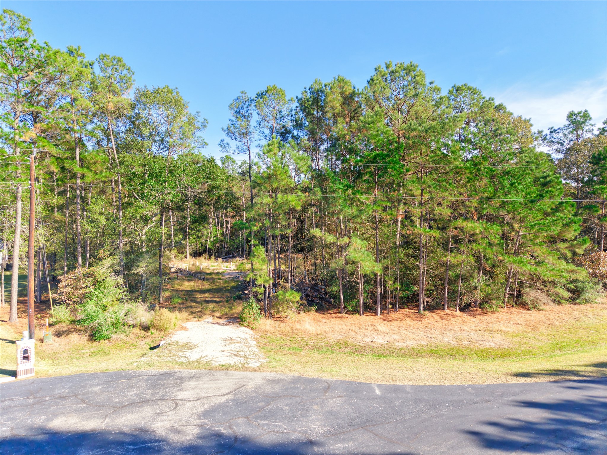 17539 Julianne Drive Waller TX 77484
