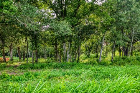 Lot 3 Hargrove Lane Washington TX 77880