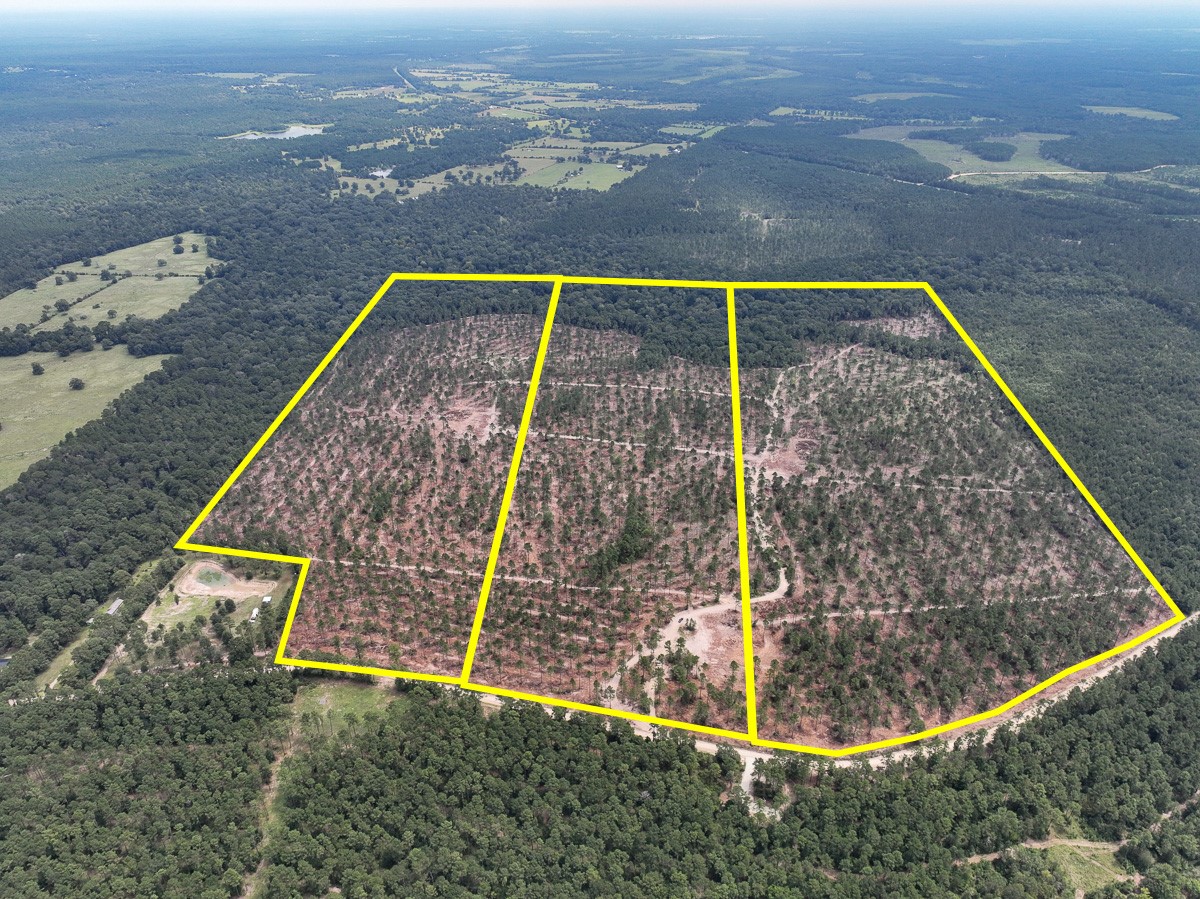 32 Boontown Road Groveton TX 75845