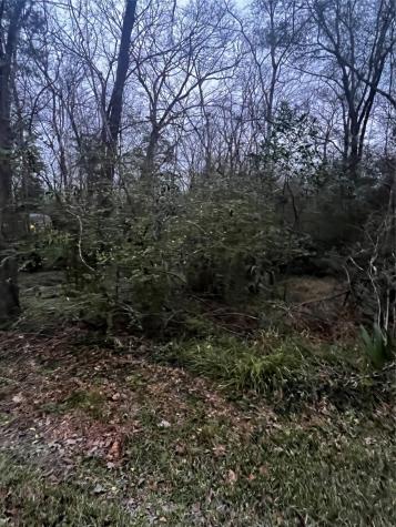 0 Elm Street Huffman TX 77336