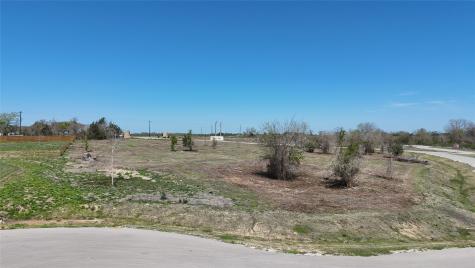 10168 Vista Place Chappell Hill TX 77426
