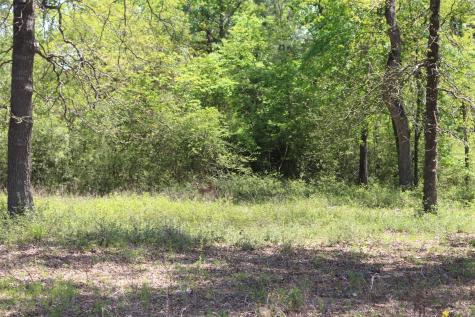 Tract 166 Private Road 1311 Centerville TX 75833