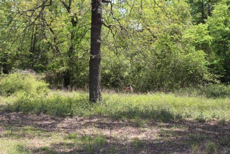 Tract 166 Private Road 1311 Centerville TX 75833