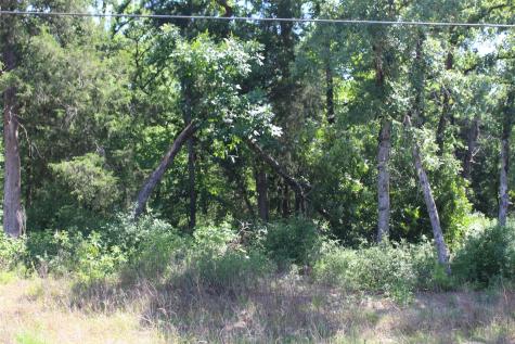 Tract 166 Private Road 1311 Centerville TX 75833