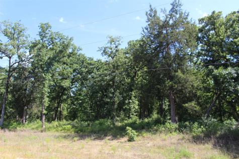 Tract 166 Private Road 1311 Centerville TX 75833