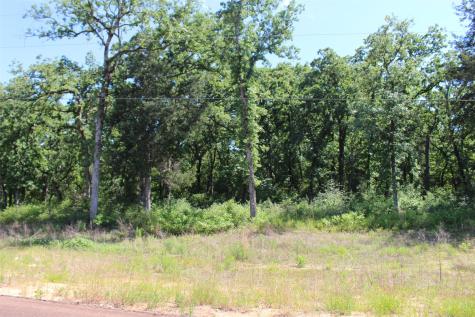 Tract 166 Private Road 1311 Centerville TX 75833