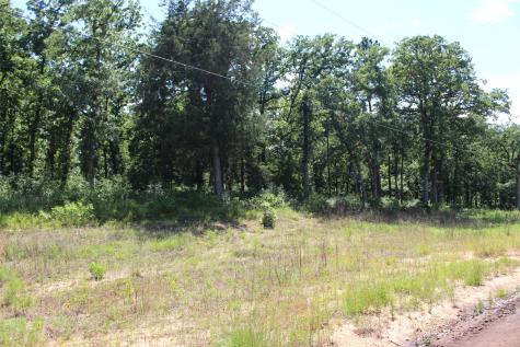 Tract 166 Private Road 1311 Centerville TX 75833