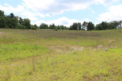Tract 71 Private Road 1315 Centerville TX 75833