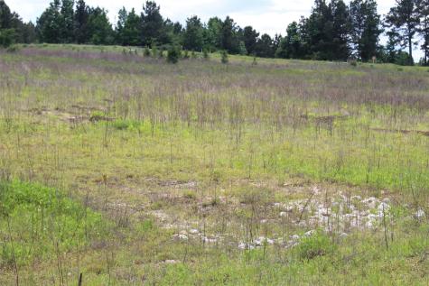 Tract 71 Private Road 1315 Centerville TX 75833