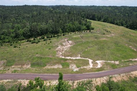 Tract 71 Private Road 1315 Centerville TX 75833
