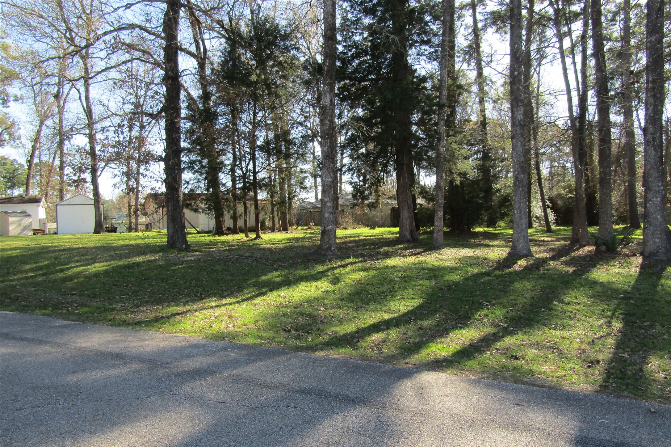 00 Shady Lane Livingston TX 77351