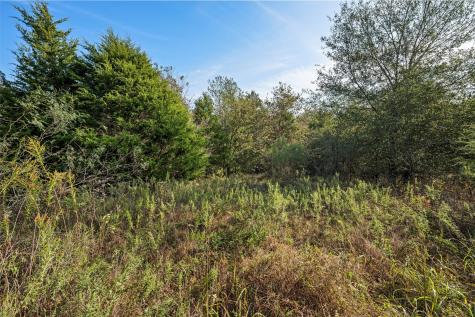 Tbd W Fm 489 Teague TX 75860
