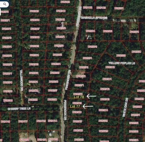 0 Pinebrook Drive Plantersville TX 77363