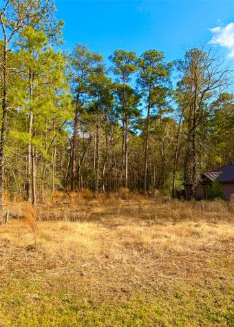 111 North Forest Drive Huntsville TX 77340