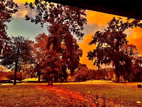 111 North Forest Drive Huntsville TX 77340