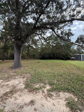 0 Sequoia Drive Livingston TX 77351
