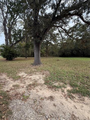 0 Sequoia Drive Livingston TX 77351