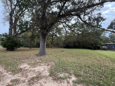 0 Sequoia Drive Livingston TX 77351