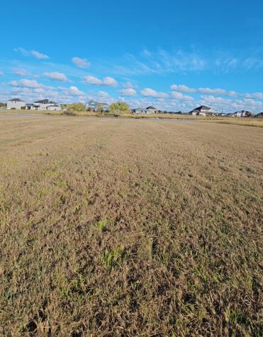13403 Lakeview Meadow Drive Richmond TX 77469