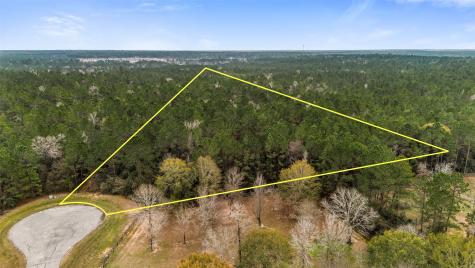 4504 Mistywood Court Montgomery TX 77316
