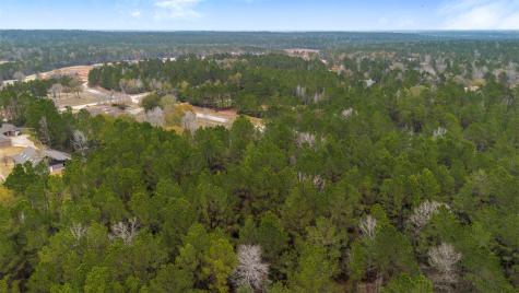 4504 Mistywood Court Montgomery TX 77316