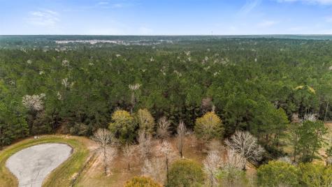 4504 Mistywood Court Montgomery TX 77316