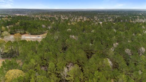 4504 Mistywood Court Montgomery TX 77316