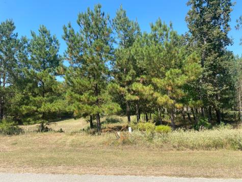 393 Ridge Lake Scenic Drive Montgomery TX 77316