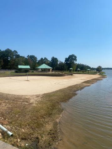 393 Ridge Lake Scenic Drive Montgomery TX 77316