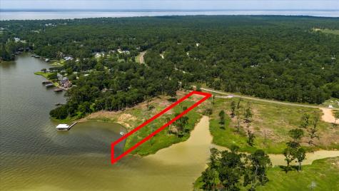 Tbd Lot 3 Fm 3277 Livingston TX 77351