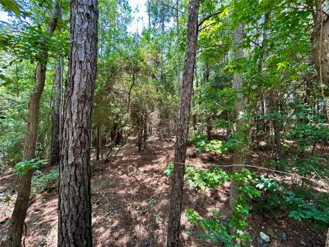 701 Whisperwood Drive Onalaska TX 77360
