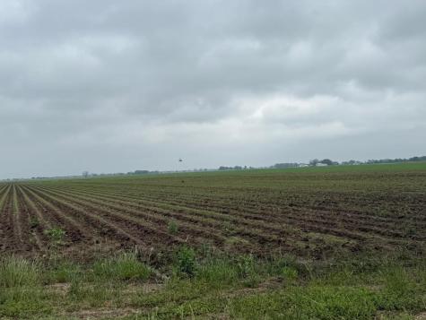10542 Walker Road Beasley TX 77417