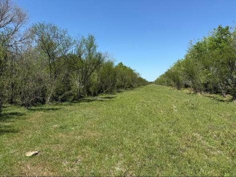 10542 Walker Road Beasley TX 77417